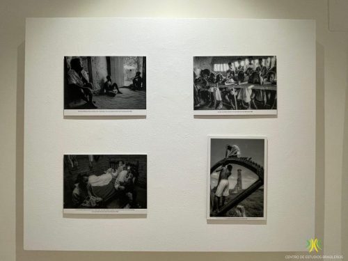 Exposición "Terras de Preto"
