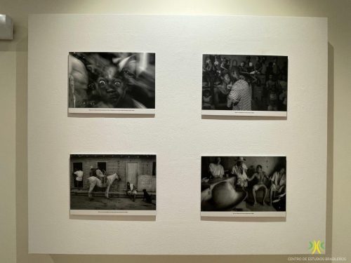 Exposición "Terras de Preto"