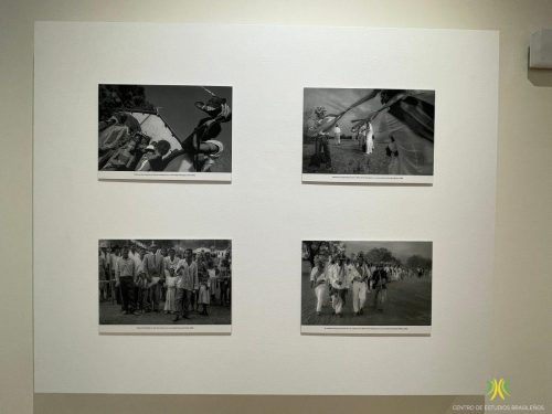 Exposición "Terras de Preto"