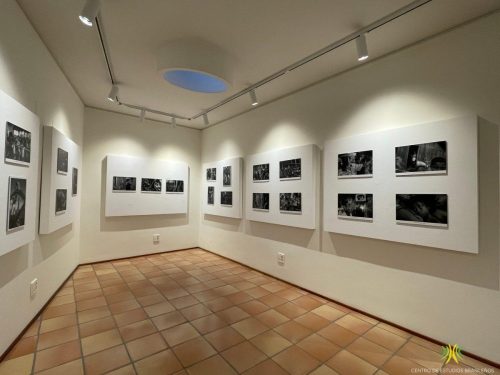 Exposición "Terras de Preto"