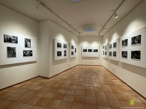Exposición "Terras de Preto"