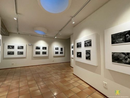 Exposición "Terras de Preto"