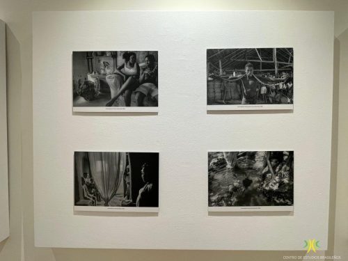 Exposición "Terras de Preto"