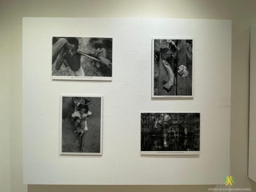 Exposición "Terras de Preto"