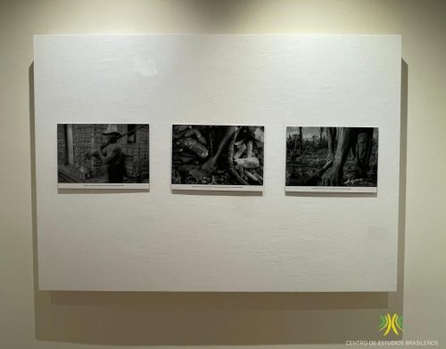 Exposición "Terras de Preto"