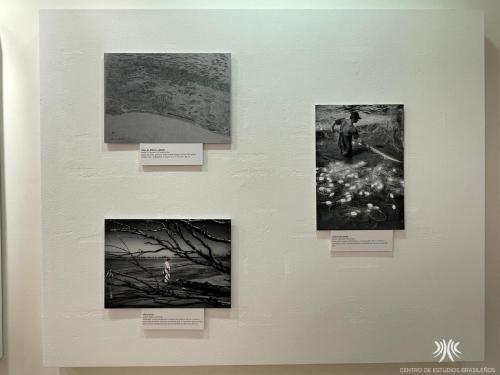Exposición "Retratos do Ribeira"